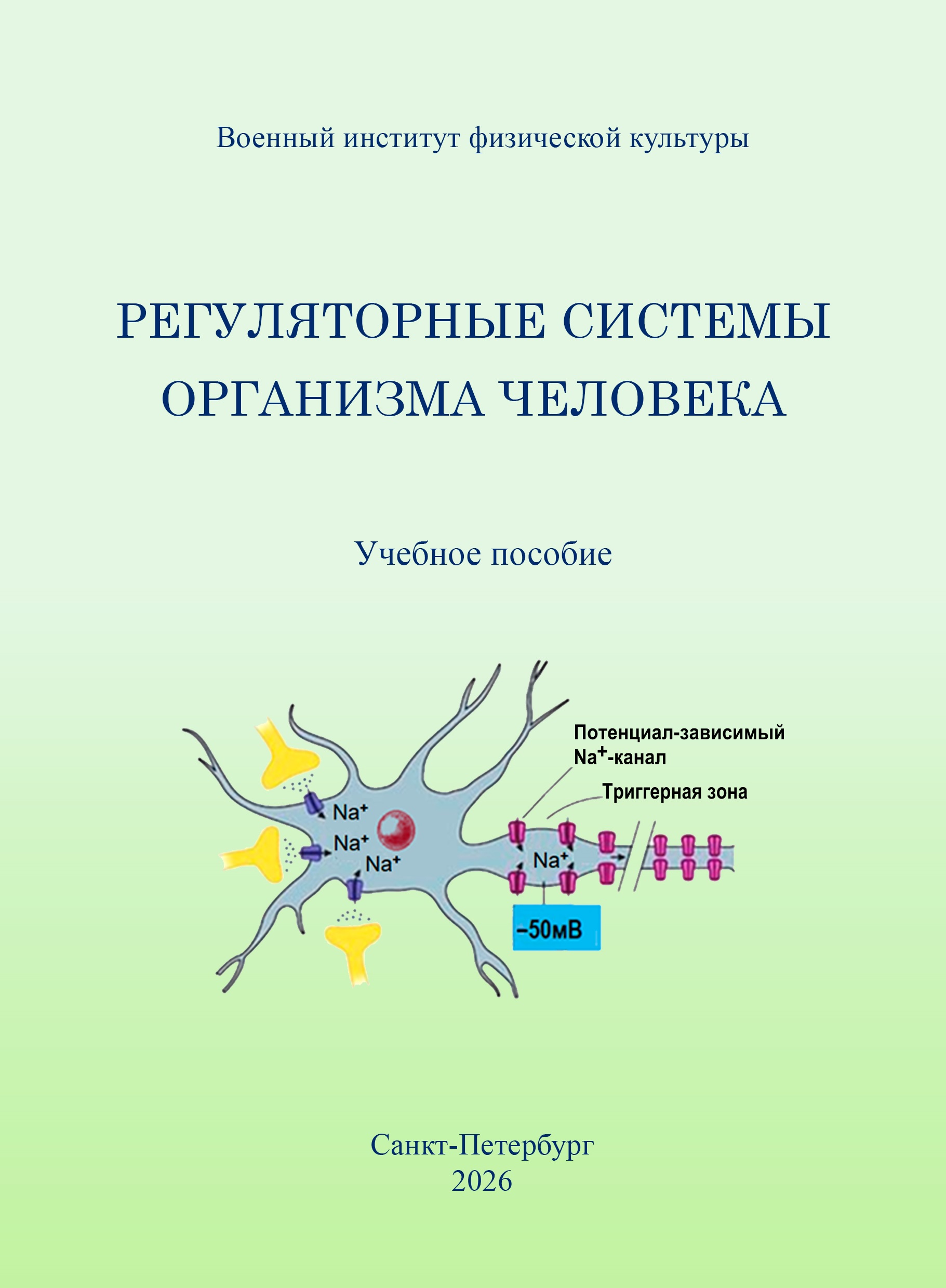                         Regulatory systems of the human body
            